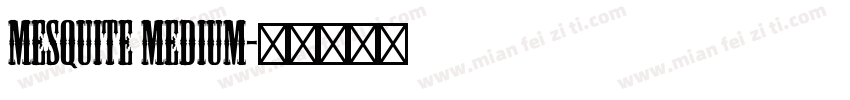 Mesquite Medium字体转换